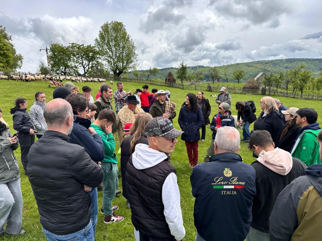 Proiect internațional despre transhumanță, în Parcul Natural Grădiștea Muncelului-Cioclovina