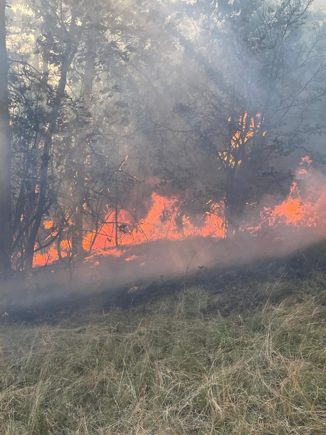 168 de misiuni și intervenții în doar trei zile