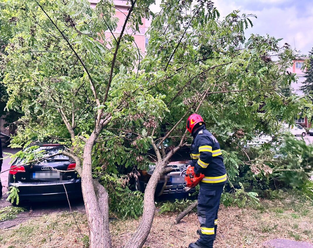 Salvatorii, fără odihnă