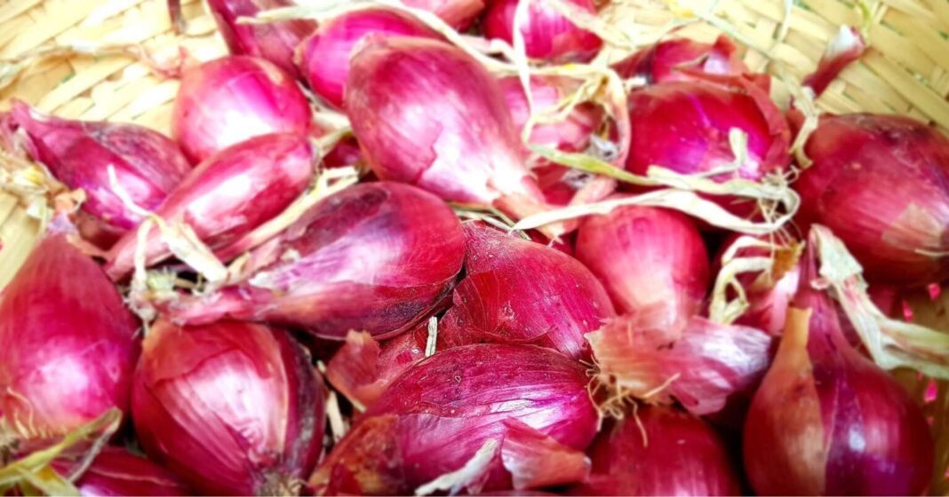 Festivalul Cepei Roșii de la Bărăști