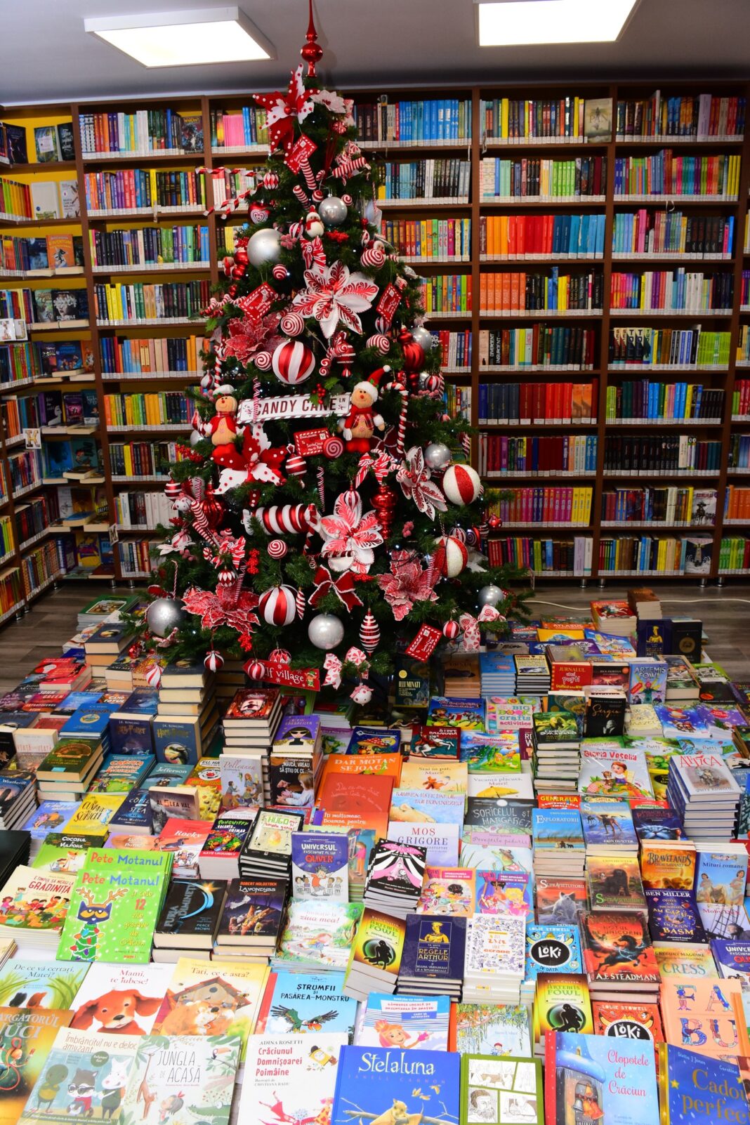„Bradul de Crăciun”, în perioada 8 – 24 decembrie, la Secția de Împrumut Carte pentru Copii, la biblioteca județeană!