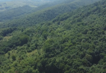 EFECTUL LUPTELOR POLITICE ASUPRA JUDEȚULUI HUNEDOARA