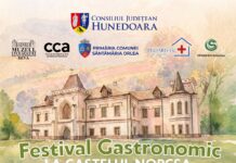 Festival Gastronomic la Castelul Nopcsa – gustul autentic al județului Hunedoara!