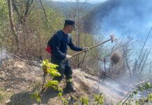 INCENDIATORII NU SE LINIȘTESC