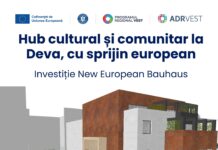 DE CE A LIPSIT PRIMARUL DEVEI DE LA ȘEDINȚA CONSILIULUI LOCAL