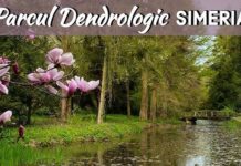 A VENIT PRIMĂVARA CU ALAIUL EI DE FLORI!!!