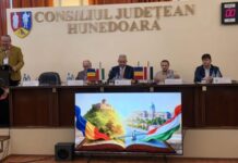 REUNIUNE ACADEMICĂ DE PRESTIGIU GĂZDUITĂ DE CJ HUNEDOARA