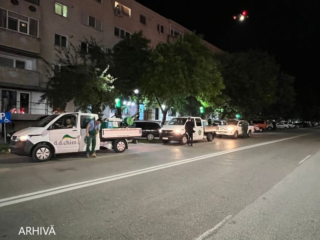 DEZINSECศIE DE NOAPTE LA DEVA: ACศIUNI PROGRAMATE PENTRU COMBATEREA ศรNศARILOR