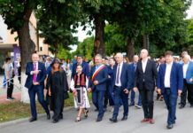ANUL „IANCU DE HUNEDOARA”: O INIȚIATIVĂ LOCALĂ, LEGE NAȚIONALĂ