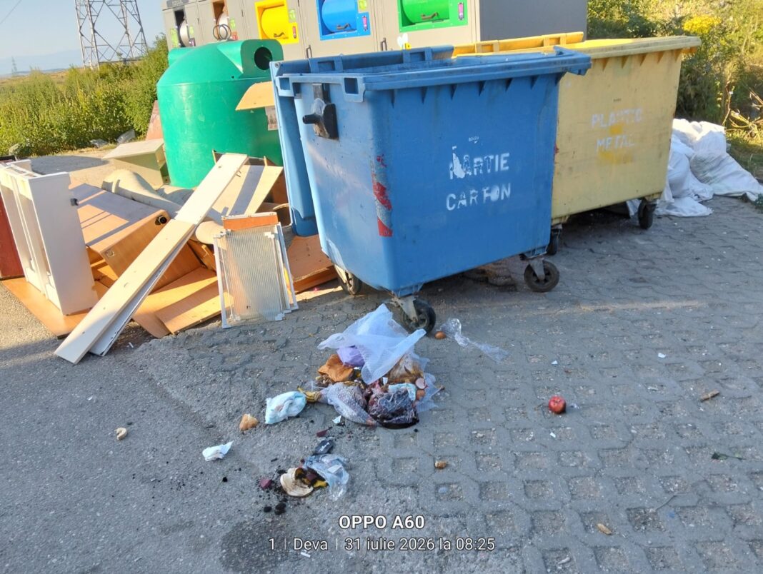LUPTA CU MOLOZUL ÎN DEVAAPEL LA SPIRITUL CIVIC ȘI SOLUȚII NOI PENTRU DEȘEURILE DIN CONSTRUCȚII