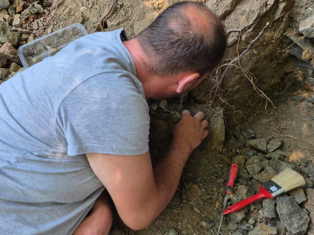 PE URMELE DINOZAURILOR DE ACUM 70 DE MILIOANE DE ANI