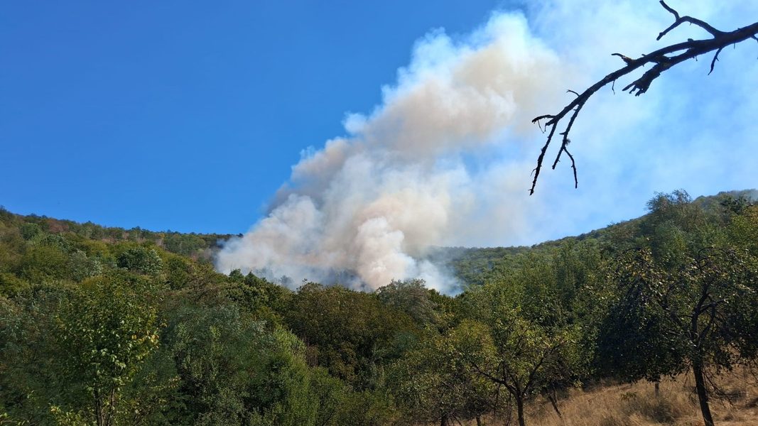 50 DE POMPIERI HUNEDORENI SE LUPTĂ DE DOUĂ ZILE CU FLĂCĂRILEZONELE CELE MAI AFECTATE SUNT ÎN VALEA ARSULUI, COMUNA CRIȘCIOR , CUTIN – BIRTIN – BĂLEȘTI ȘI ROȘCANI