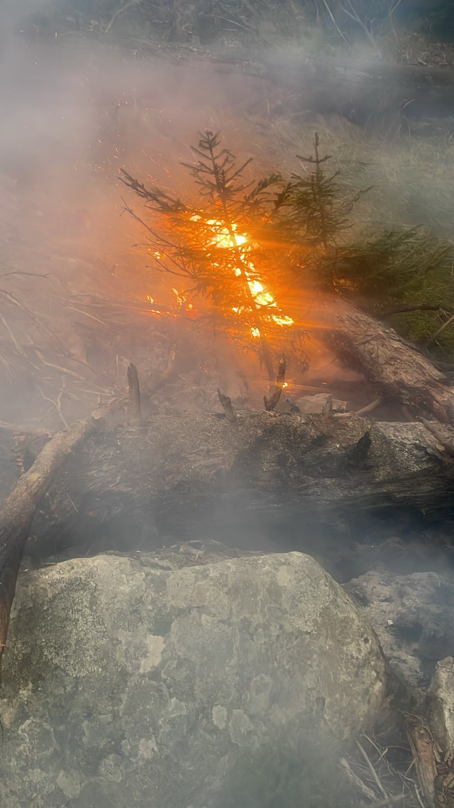 INCENDIUL DE PĂDURE DE LA CHEILE BUȚII A REIZBUCNIT