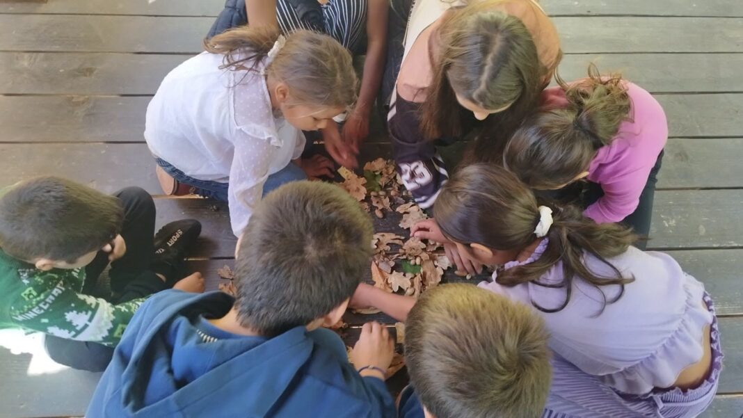 EXPERIENȚĂ EDUCATIVĂ PENTRU COPIII PROVENIȚI DIN GRUPURI DEZAVANTAJATE DIN MUNICIPIUL DEVA