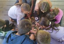 EXPERIENȚĂ EDUCATIVĂ PENTRU COPIII PROVENIȚI DIN GRUPURI DEZAVANTAJATE DIN MUNICIPIUL DEVA