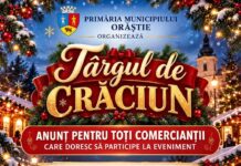 TÂRGUL DE CRĂCIUN DE LA ORĂȘTIE!!!