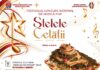 ”STELELE CETĂȚII” REVINE LA DEVA: DOUĂ ZILE DEDICATE MUZICII POP ȘI TINERELOR TALENTE